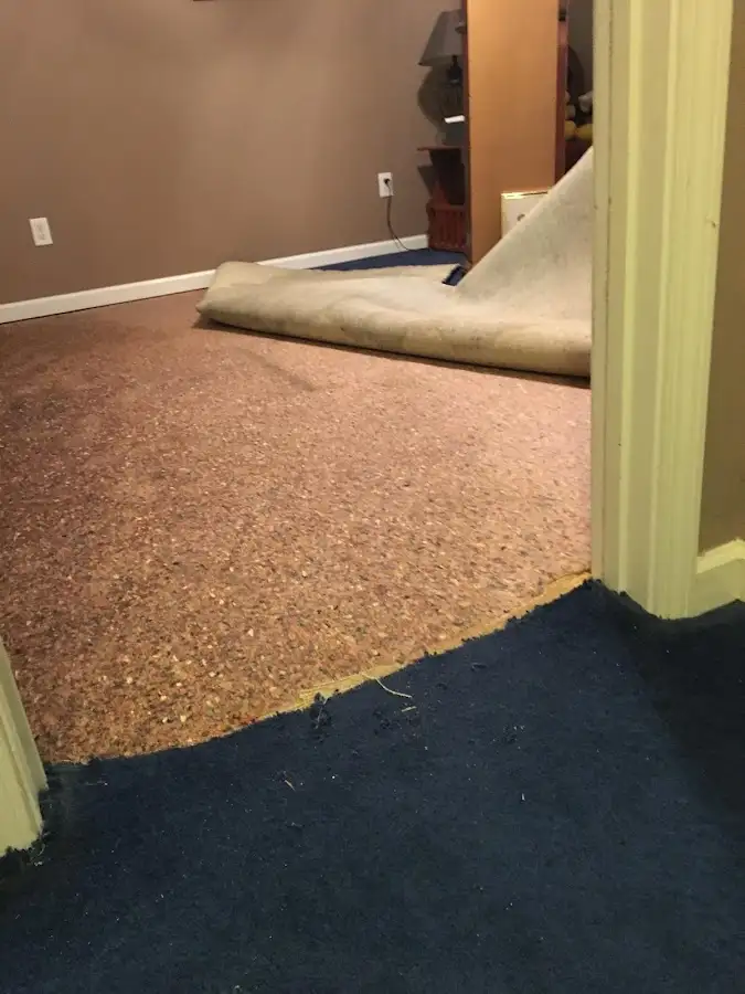 Carpet pad removal revealing water damage during Drying & Dehumidification in Statesboro
